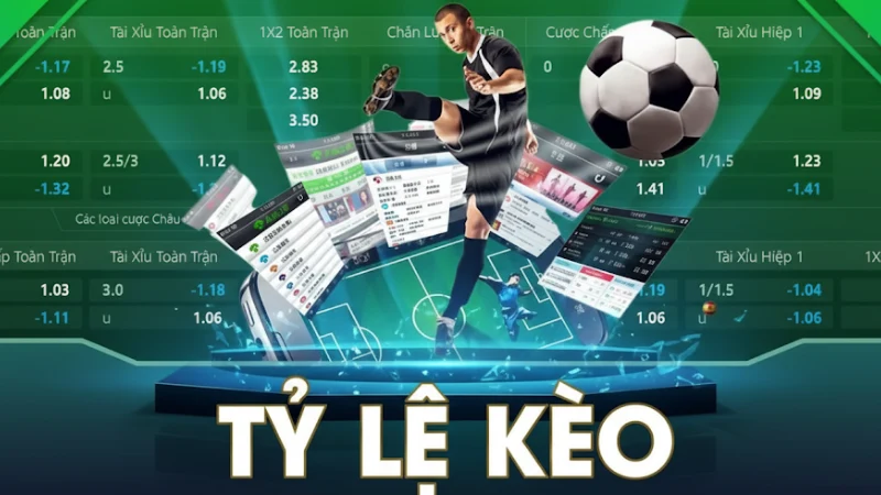 Cá Cược Đua Ngựa 8XBET – Hướng Dẫn Chi Tiết Từ A-Z