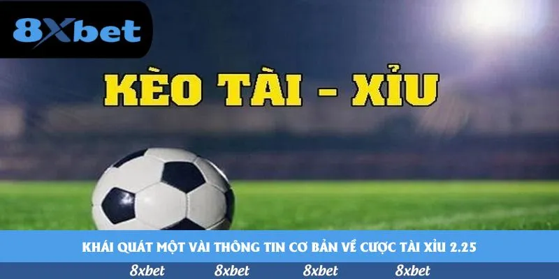 Nhà cái thể thao uy tín với livestream trận đấu - Tổng kết