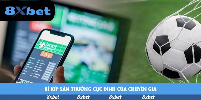 Cập nhật khuyến mãi cá cược thể thao mới - Hướng dẫn