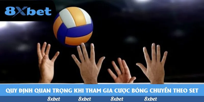 Top kèo cá cược thể thao mùa hè 2026 tại Việt Nam