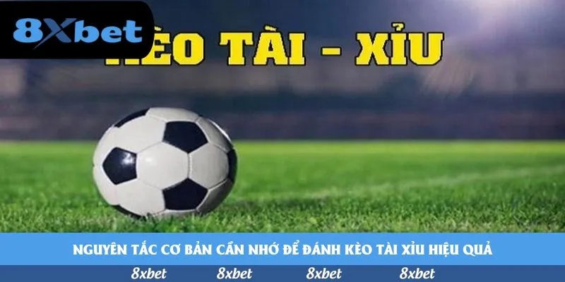 Nhà cái tin tức cá cược uy tín nhất