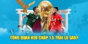 Hướng Dẫn Đăng Ký 8XBET Chi Tiết Nhất 2024
